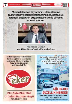 7. sayfa