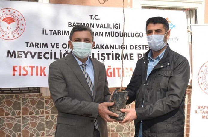 Batman’da çiftçiye fıstık ve badem fidanı dağıtıldı