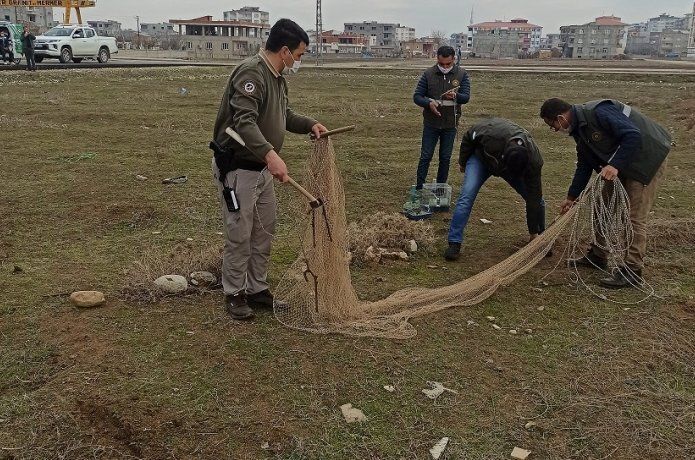 Koruma altında bulunan kuşları yakalayan şahsa ceza kesildi