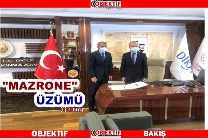 Gercüş üzümü dünyaya açılıyor