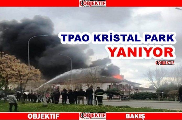 TPAO Kristal parkta yangın