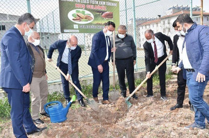 Batman’da okul bahçeleri fıstık ağaçları ile buluştu