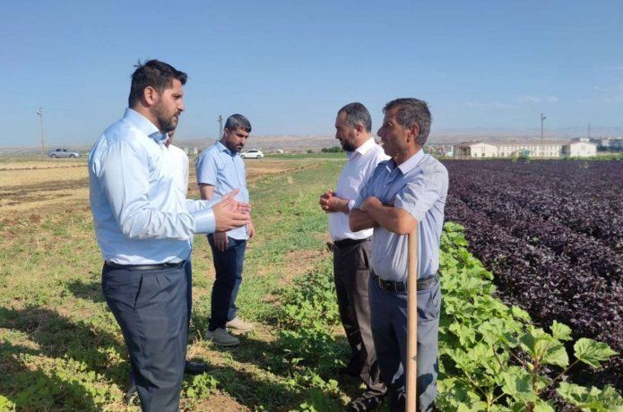 Yılın bir günü ‘Reyhan Şerbeti Günü’ olarak belirlenmesi talebi