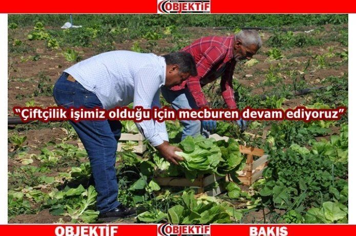 Çiftçiler " maliyetler çok yüksek"