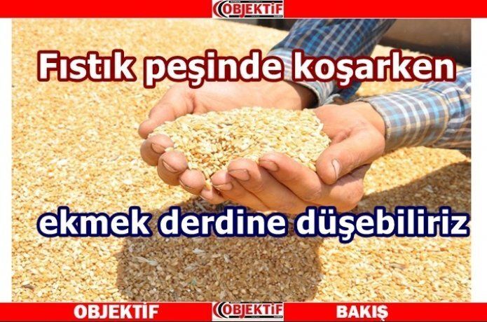 Hububat fiyatlarında büyük artış