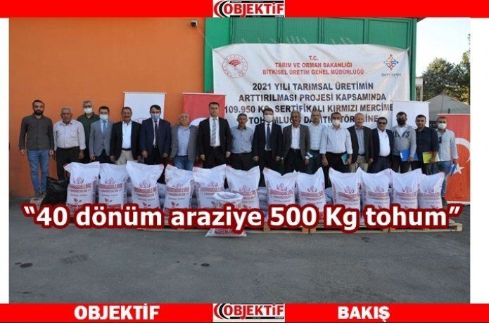 110 ton kırmızı mercimek tohumu dağıtıldı