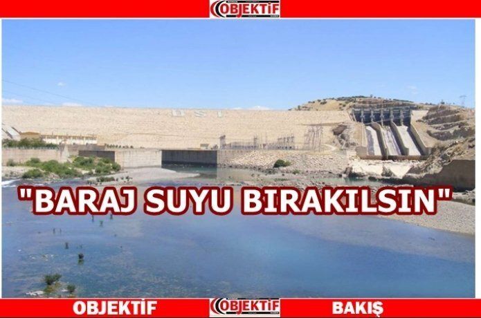 Balıklar tehliede