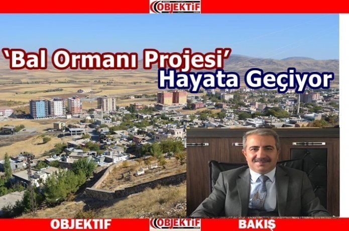"Bal orman" projesi start aldı