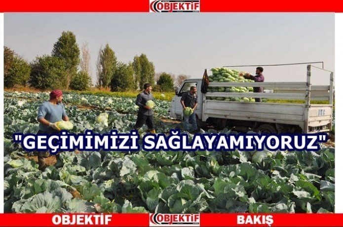 Tarım işçileri zorda