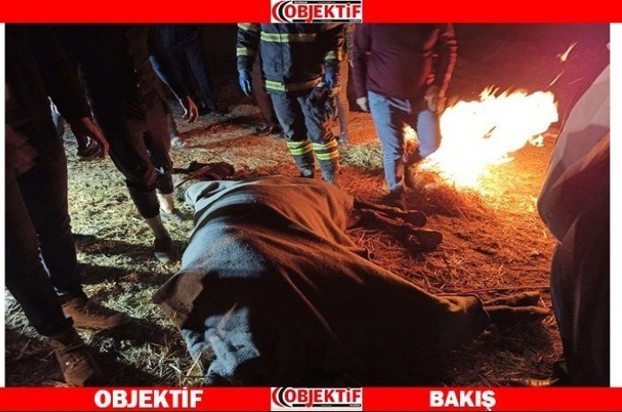 At'ı itfaiye kurtardı