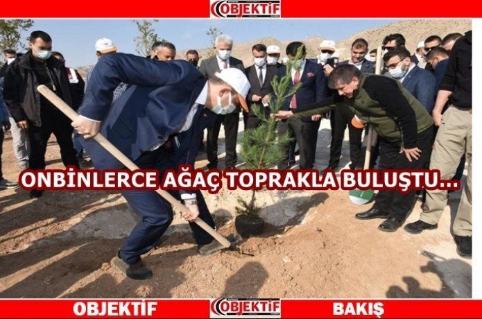 Yeşil kuşak seferberliği