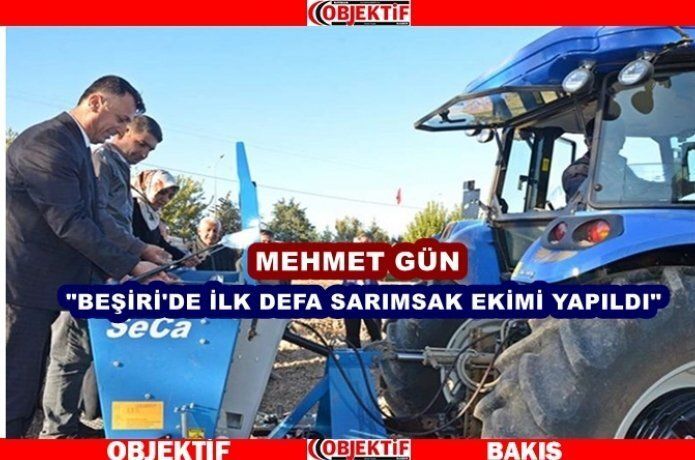 Sarımsak ekildi