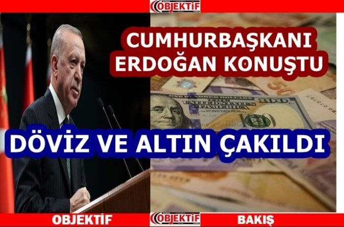 Dövizde sert düşüş