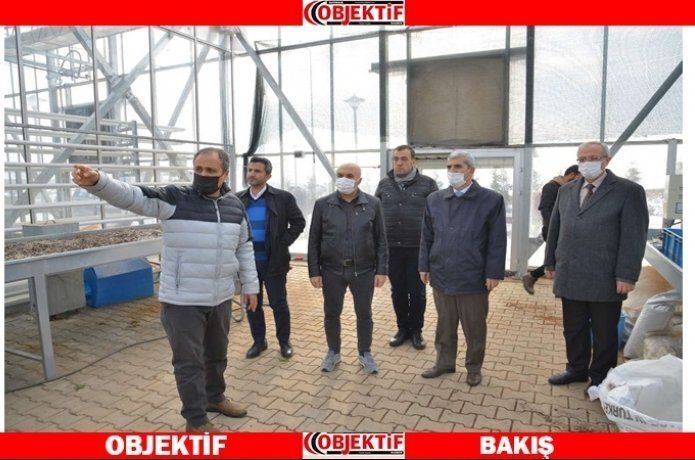 "Pilot üniversite" çalışmaları sürüyor