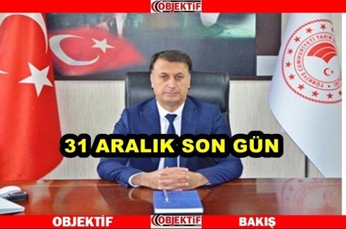 Buzağı desteklemesi için son hafta