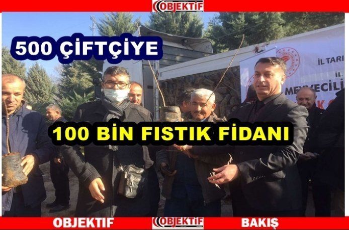 Çiftçilere fıstık fidanı dağıtıldı