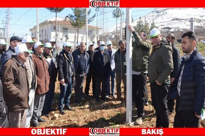 Çiftçilere bağcılık eğitimi