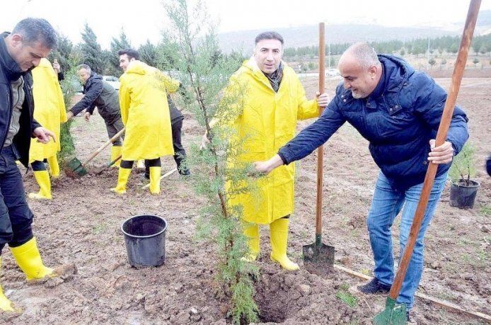 1600 fidan toprakla buluştu