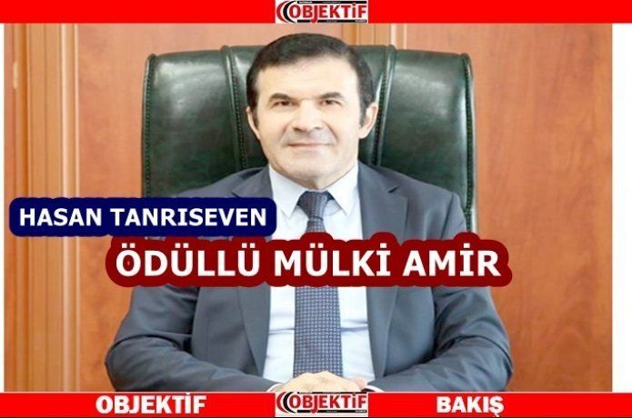 Tanrıseven’e prestijli ödül
