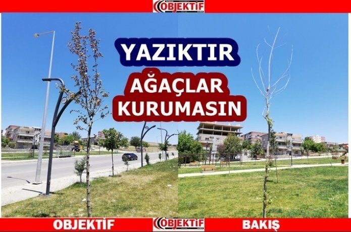 Parklarda ağaçlar kurumasın