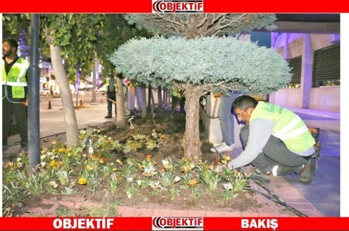 Batman çiçek kokacak