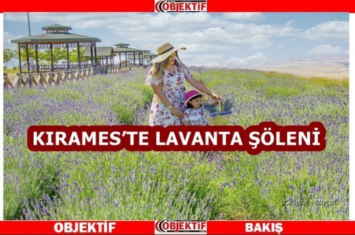 Batmanın yeni imajı lavantalar