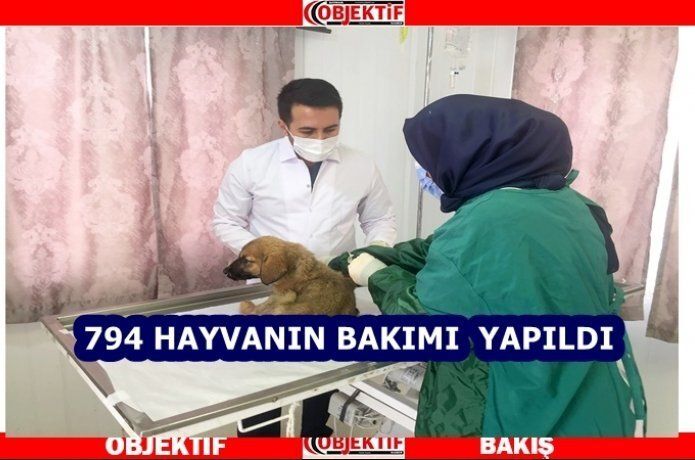 Hayvan bakım ve tedavisi yapıldı