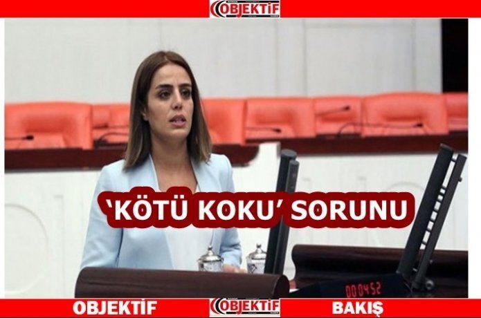 Koku sorunu meclis gündeminde