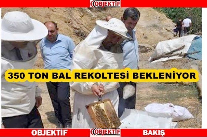 Sason’da bal hasadı yapıldı
