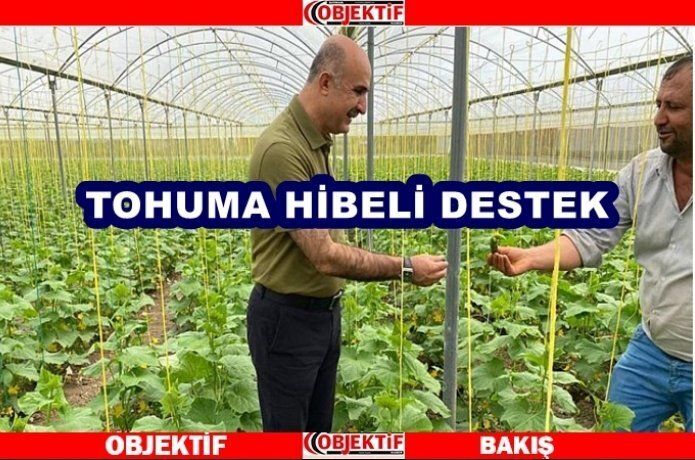 Çiftçilere hibe tohum desteği