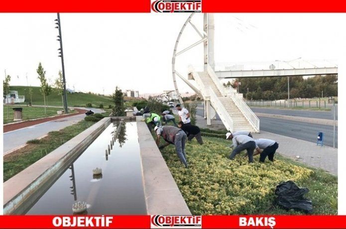 Bitkiler daha sağlıklı büyüyecek