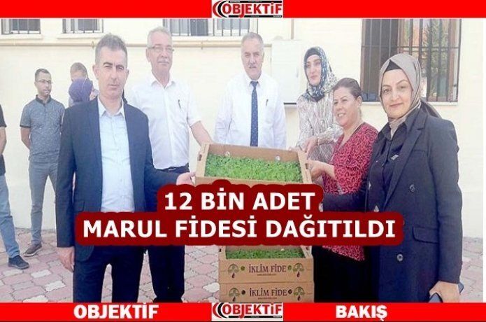 Kadın üreticilere fide dağıtıldı