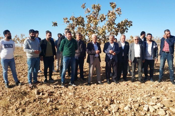 HÜDA PAR il Başkanı Şahin: "fıstık ağaçlarının bulunduğu yerde TOKİ yapılmamalı"