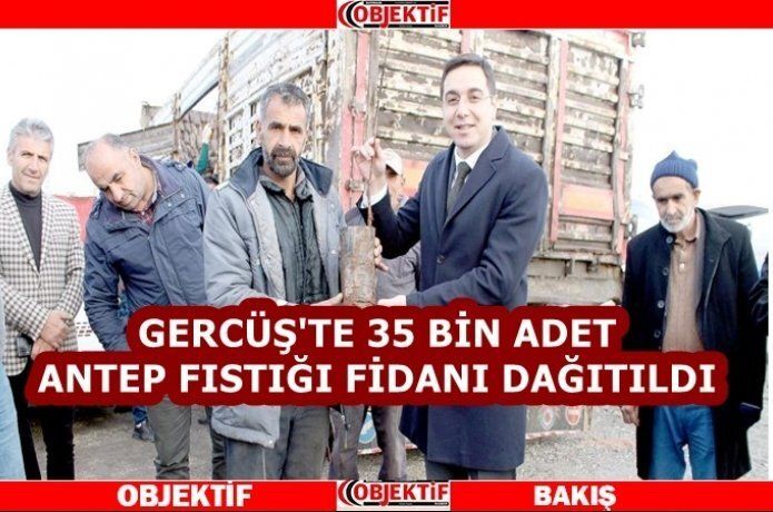 35 bin adet fıstık fidanı dağıtıldı