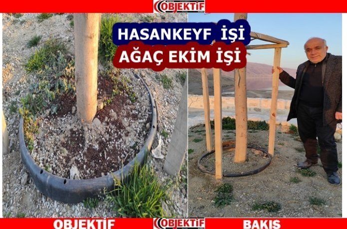 Hasankeyf’te yeşile kıyılıyor