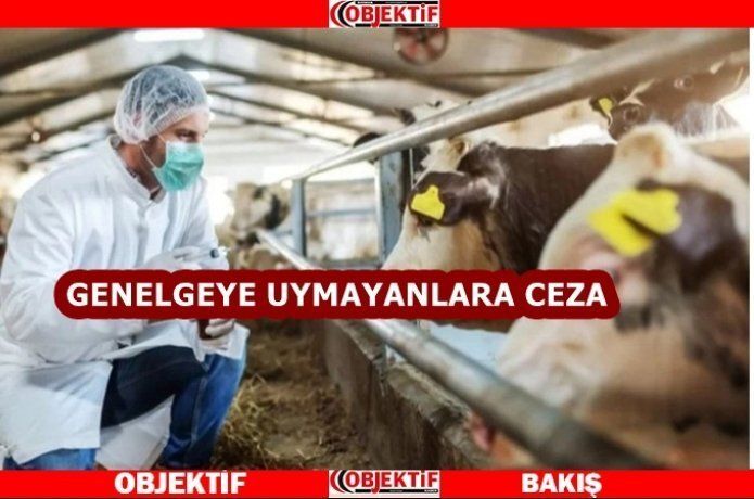 Şap hastalığı kontrol altında