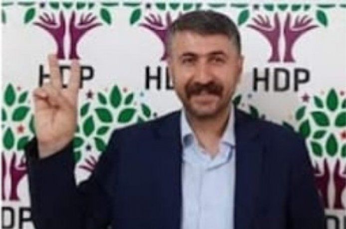 Kulpu, yeşil sol parti"den aday adayı oldu