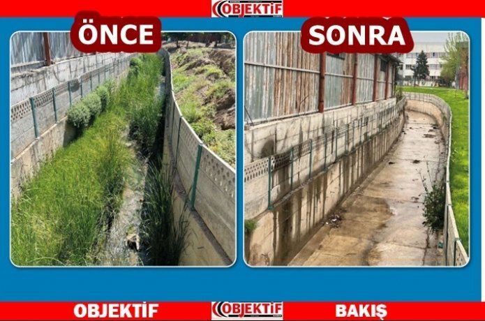 Avşo Deresi temizlendi