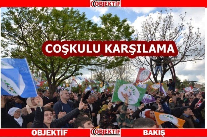 Yeşil sol Parti'den gövde gösterisi