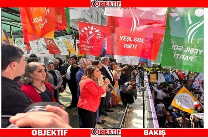 Başak Demirtaş destek istedi