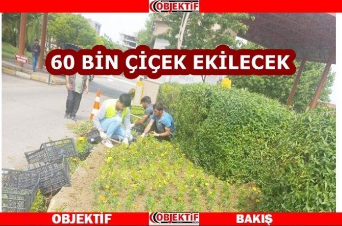 Caddeler renkleniyor