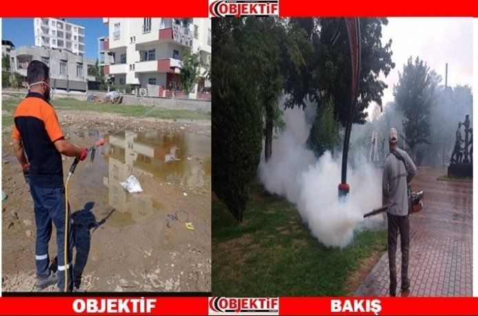 İlaçlama ekipleri iş başında