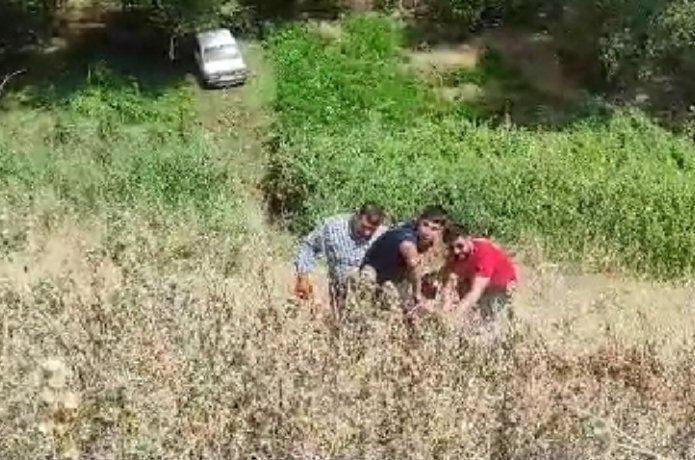 Otomobil şarampole düştü: 1 ağır yaralı