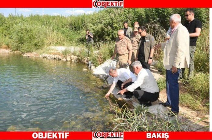 Balıklı gölde incelemelerde bulundu