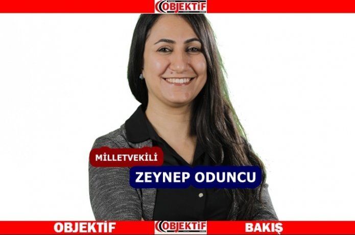 Oduncu, boğulma vakalarını meclise taşıdı
