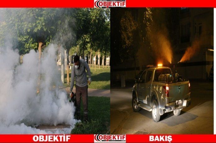 Belediye'den gece-gündüz ilaçlama
