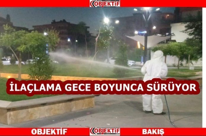 Yeşil alanlar sabahlara kadar ilaçlanıyor