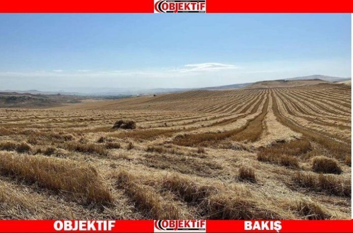 ‘Zulüm ve tehditlerden kurtulamıyoruz’