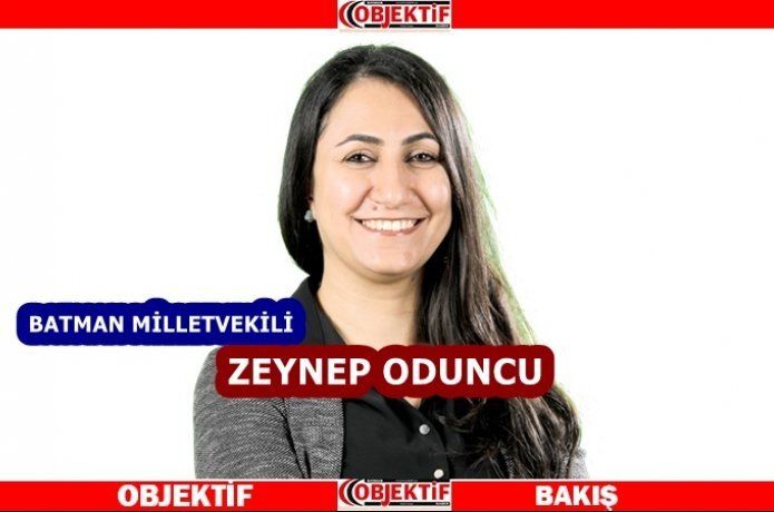 Milletvekili Oduncu trafik kazalarını Bakan'a sordu