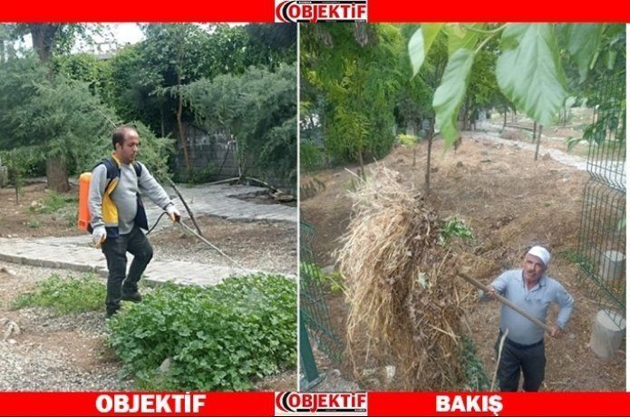 Mezarlıklarda ot biçme ve ilaçlama çalışmaları devam ediyor